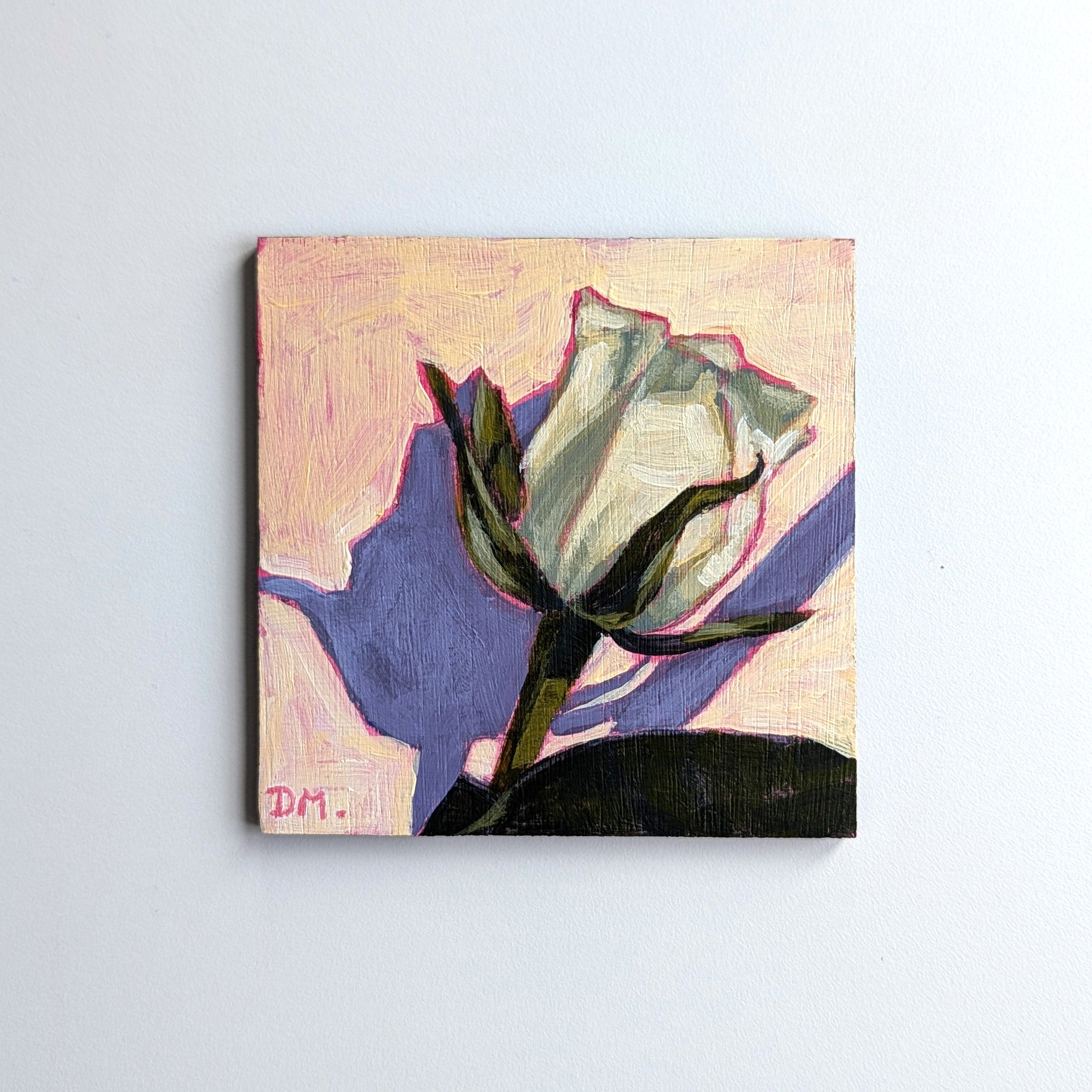 Fifth Rose