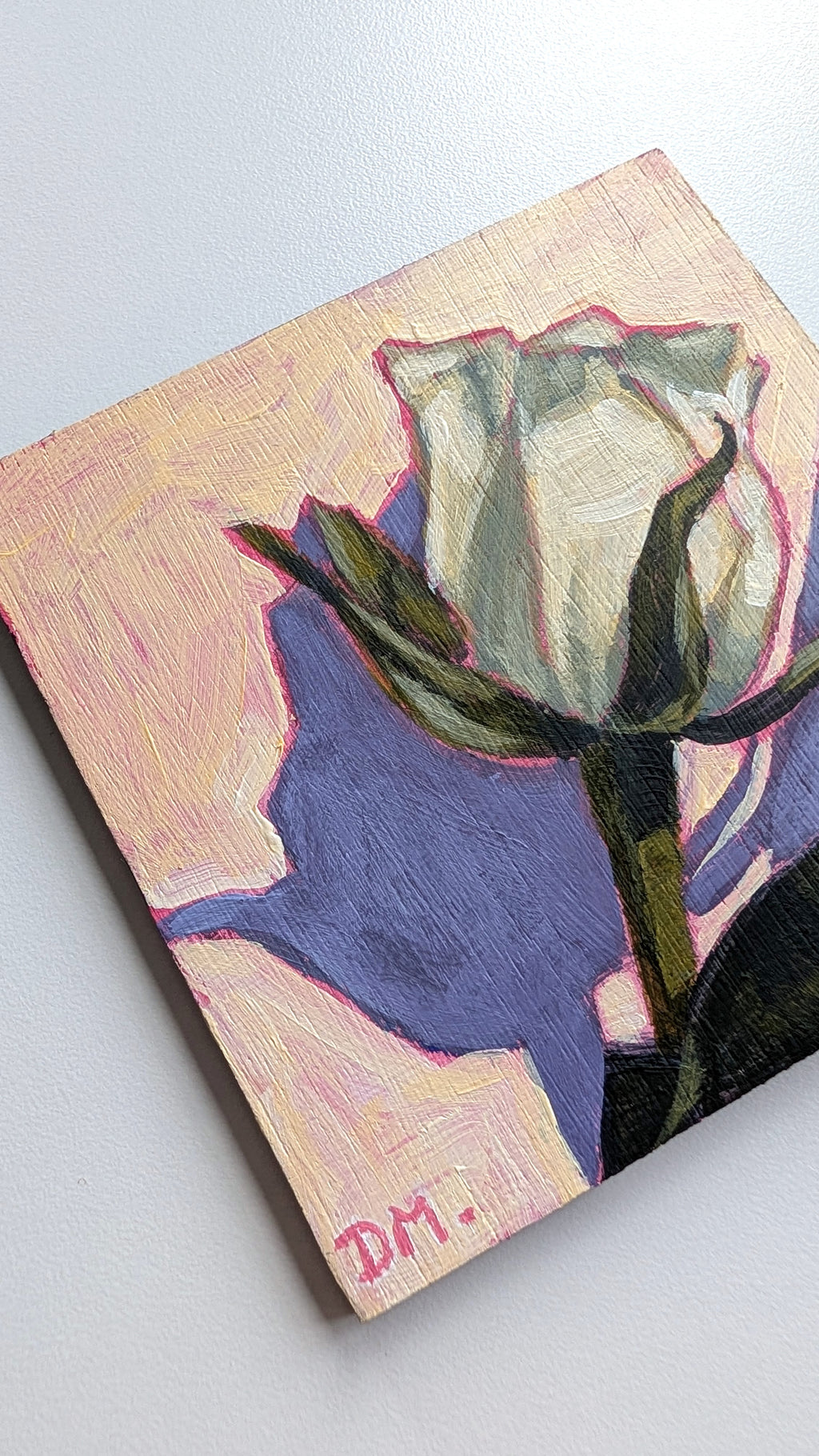 Fifth Rose