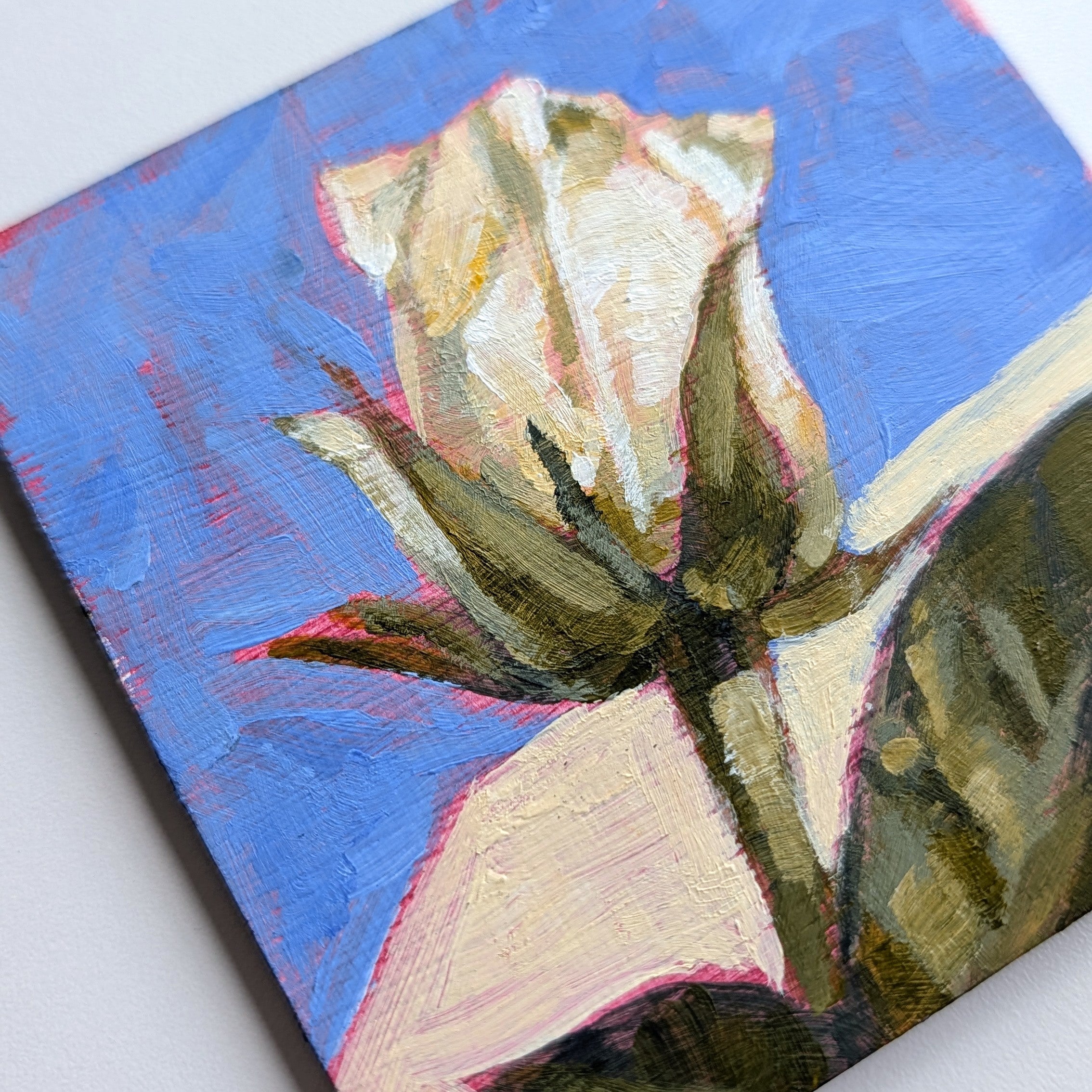 Second Rose