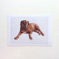 Molly Print